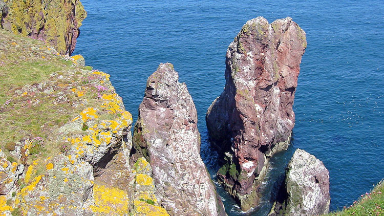Cliffs and stacks at St. Abb's Head