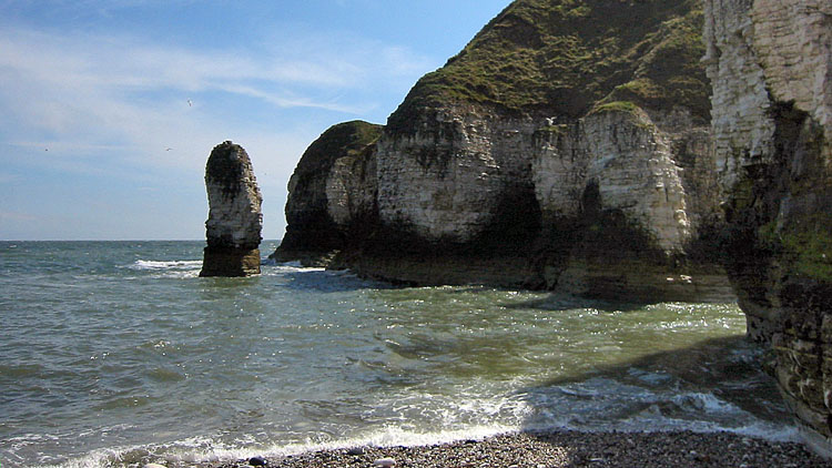 Cliffs and stack at Selwicks Bay