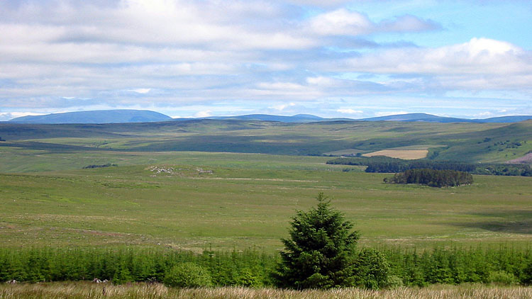 Typical scenery in the Simonside hills