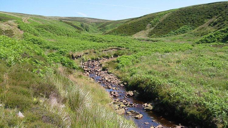 Old Water