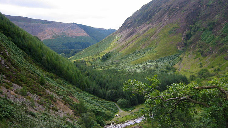 Eiddew valley from the falls
