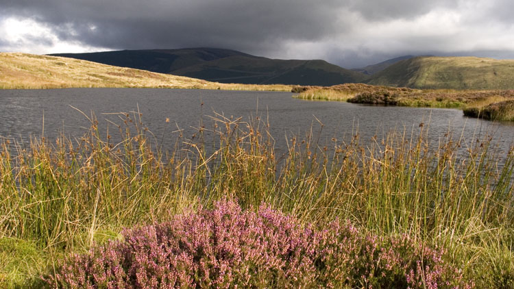 Llyn Foeldinas & the Arans