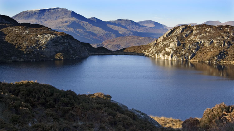 Llyn yr Arddu & Moel Hebog ridge