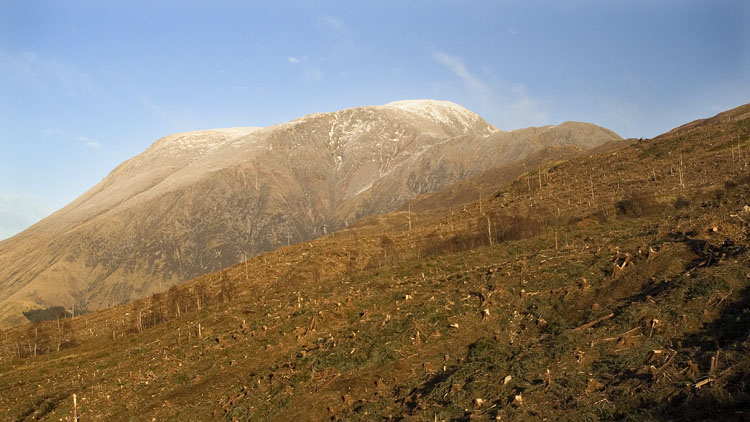Ben Nevis from tent pitch 
