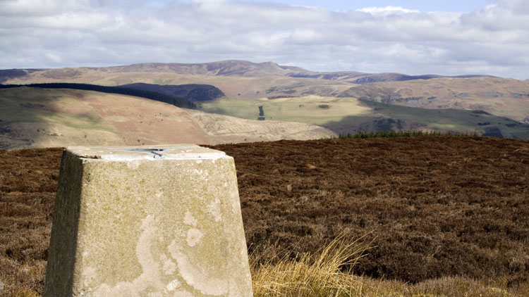 The Berwyns from Rhialgwm