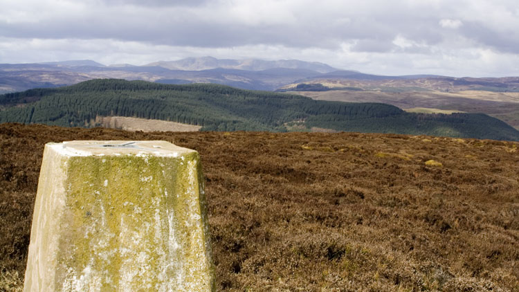 The Arans from Rhialgwm