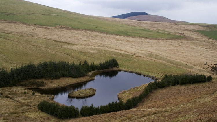 Lake on Afon Barog