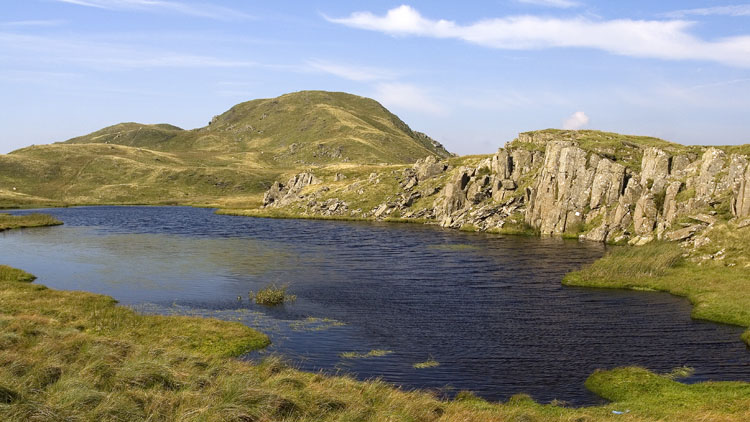 Moel Druman