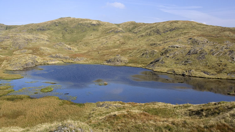 North end of Llyn Cwm-corsiog