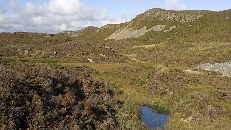 Valley between Llyn y Frithgraig and Llyn Bryn-du