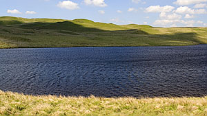 Llyn Gynon