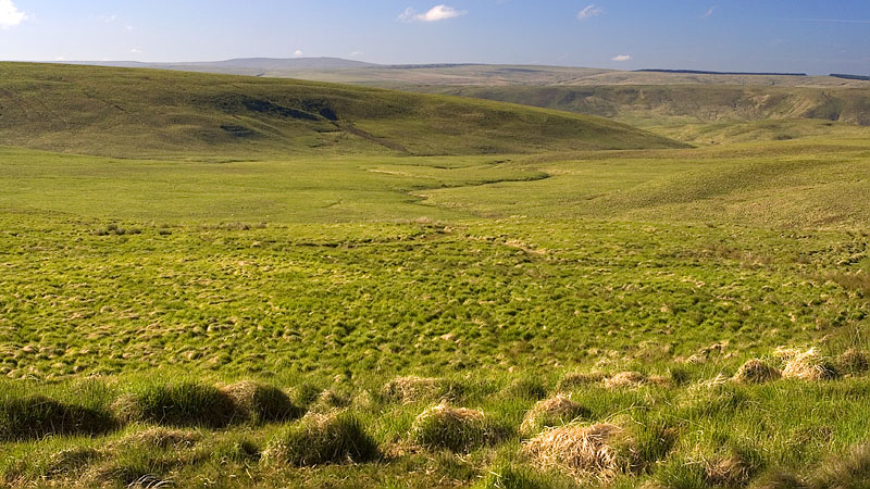 Headwaters of the Nant Bryn and Ffos Gyrnant