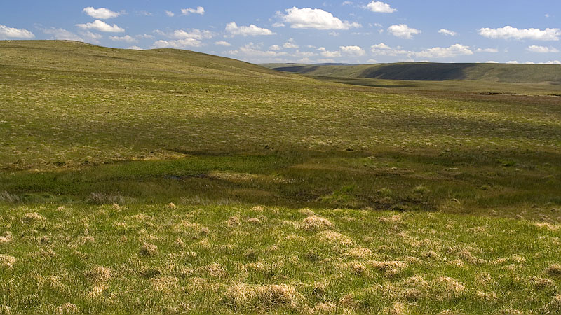 Headwaters of the Nant Gwinau