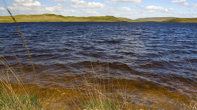 Llyn Gynon