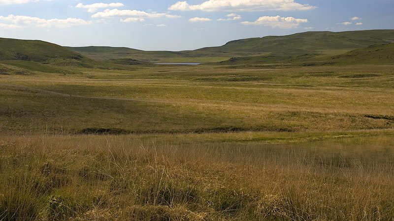 Looking back over the headwaters of the Nant Brwynog