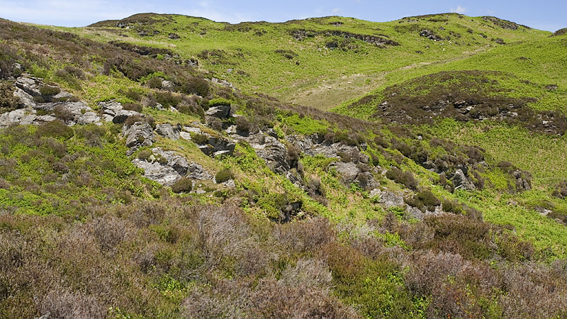 Head of the Nant Madog valley