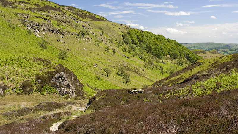 Descending into the Nant Madog valley