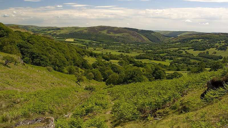 View east from the Nant Madog valley