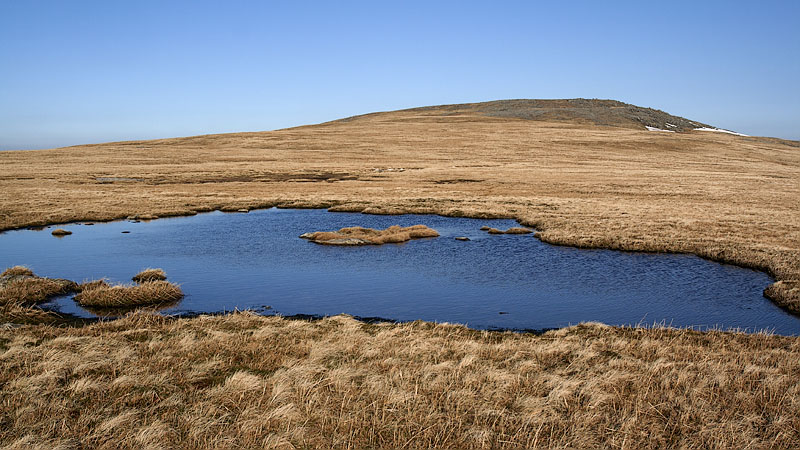 Foel Grach from Gwaun y Garnedd Foel Grach from Gwaun y Garnedd