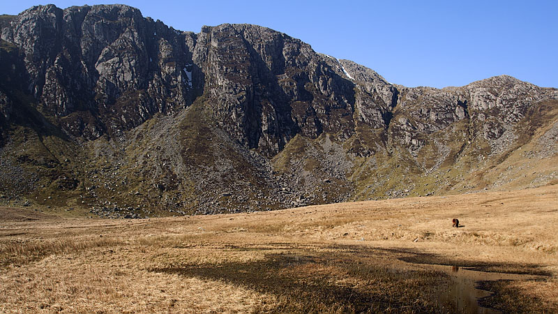 Craig yr Ysfa and wild horse from lower Cwm Eigiau Craig yr Ysfa and wild horse from lower Cwm Eigiau