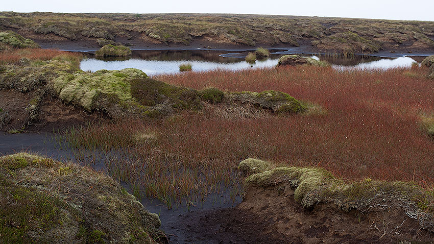 Peat hags and bogs on Peel Fell