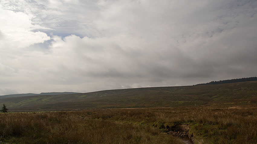 Deadwater Burn and Bells Moor from old trackbed