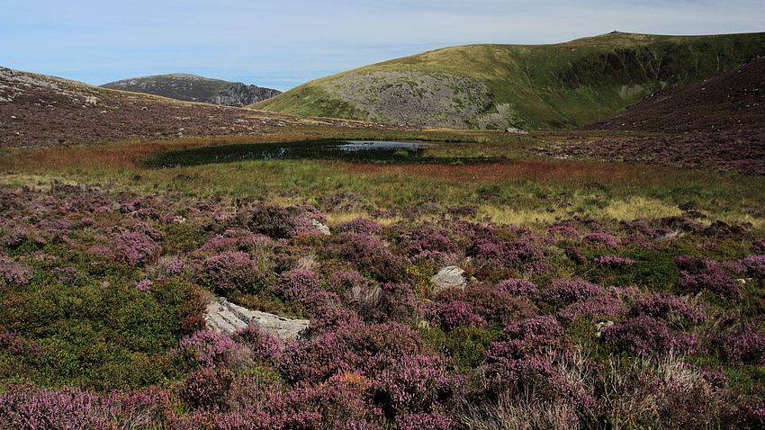 Autumn colours of the heather and bog vegetation