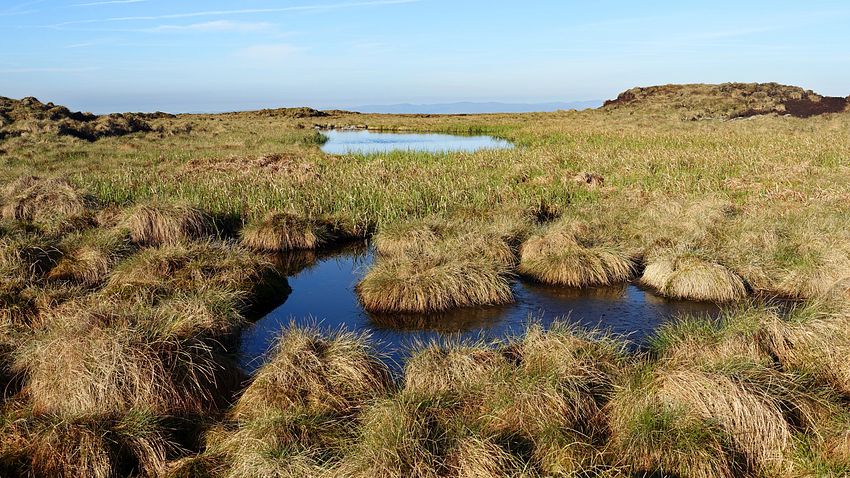 Pools and peat moorland of Green Fell