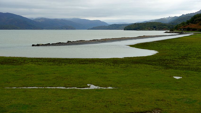 Marsh at Barmouth Bay