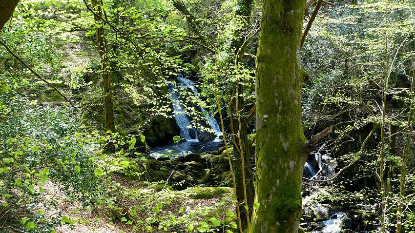 The Afon Arran and falls