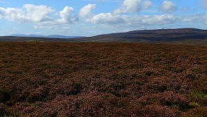 View to Cyrn-y-Brain from Esclusham Mountain
