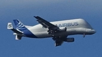 Beluga Airbus Super Transporter