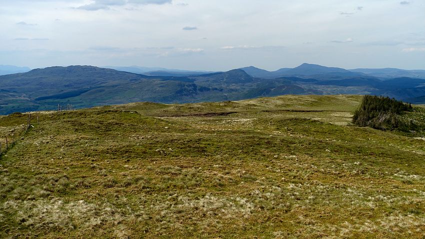 The Arenigs from Pen y Brynfforchog