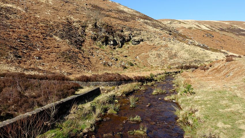 In the deep cut of Blakely Clough