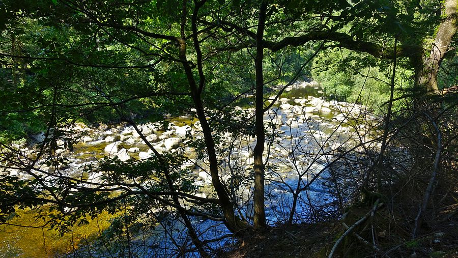 The Afon Mawddach at Coed y Brenin Forest Park