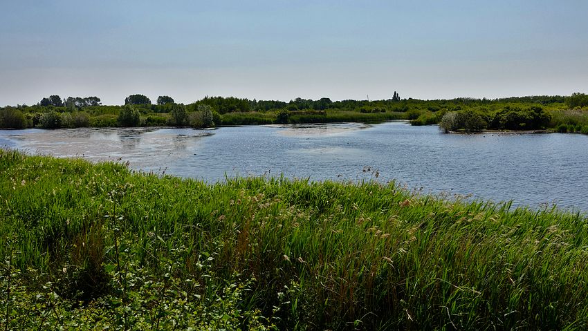 View from Harrier hide