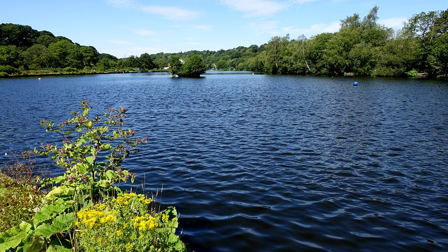 Lake at Etherow Park