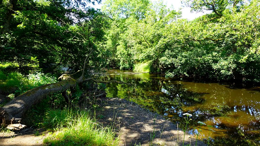 The River Goyt in Brabyns Park
