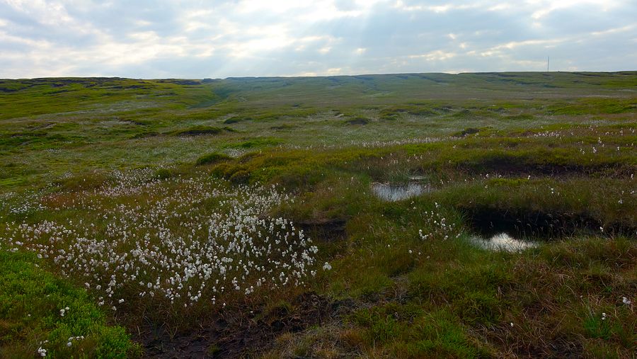 Descending Black Hill