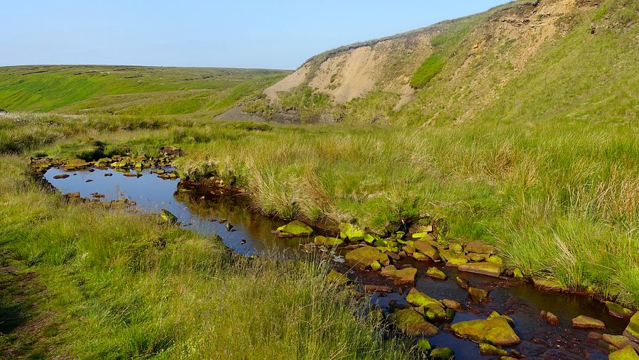 Crowden Great Brook at Red Ratcher