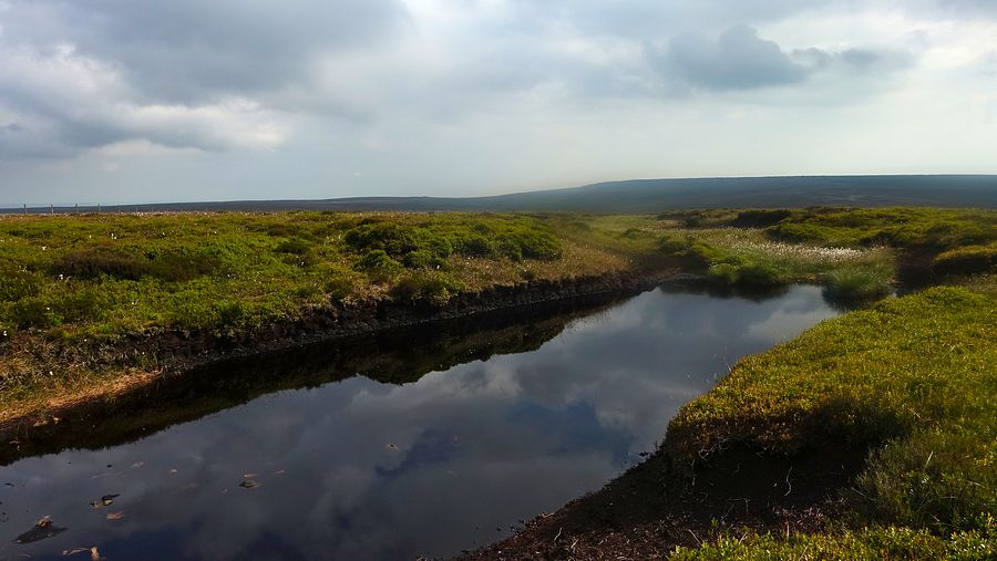 Pool near summit of Black Chew Head
