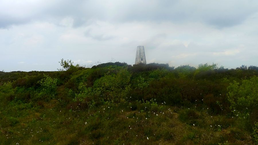 Featherbed Moss trig point