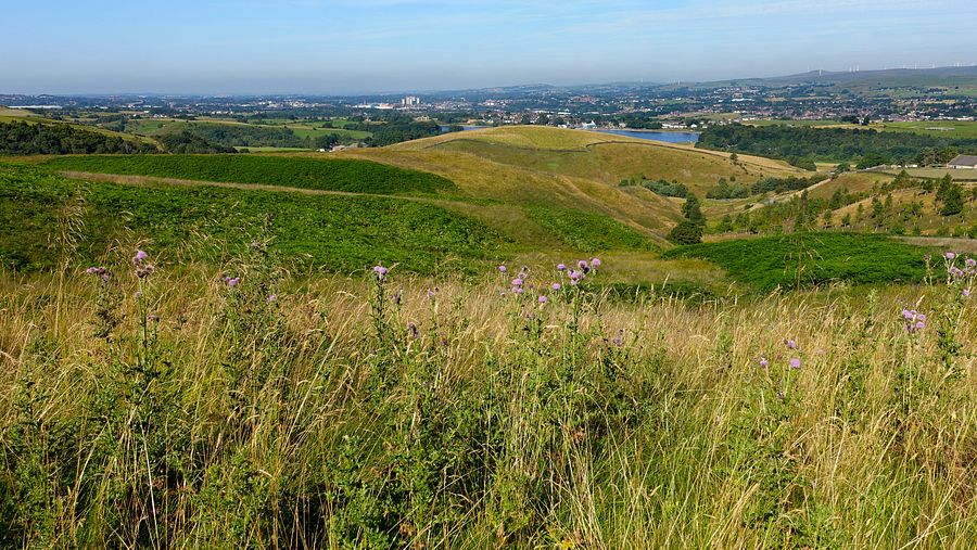 View towards Hollingworth Lake from Clegg Moor