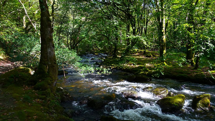 The Afon Ysgethin