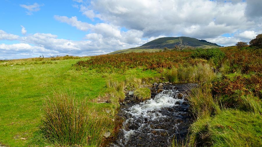Hill stream approaching Moelfre