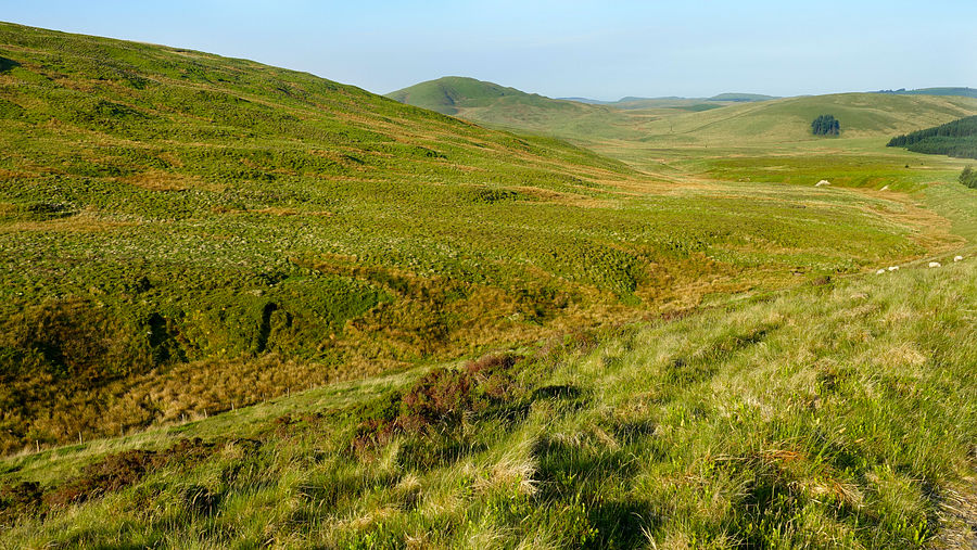 The Llygnant valley