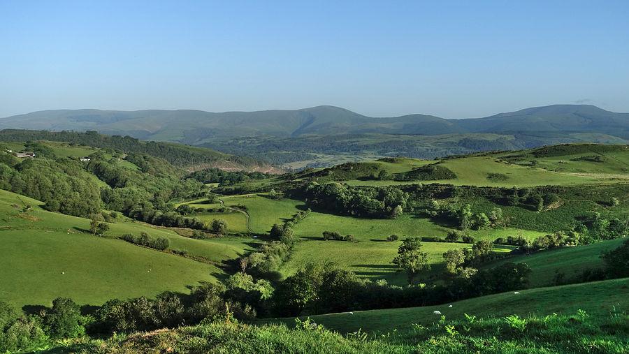 The Tarrens from Mynydd Bach
