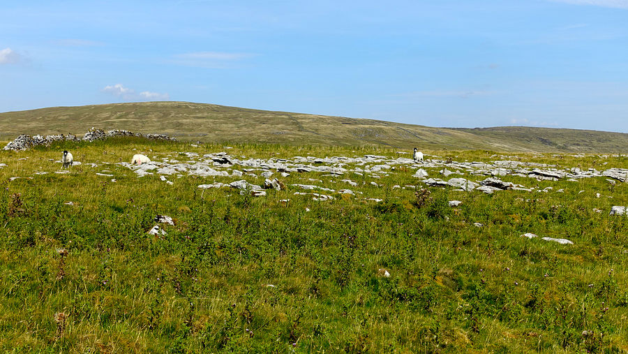 Limestone pavement on Wold Fell