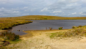 Cupwith Reservoir