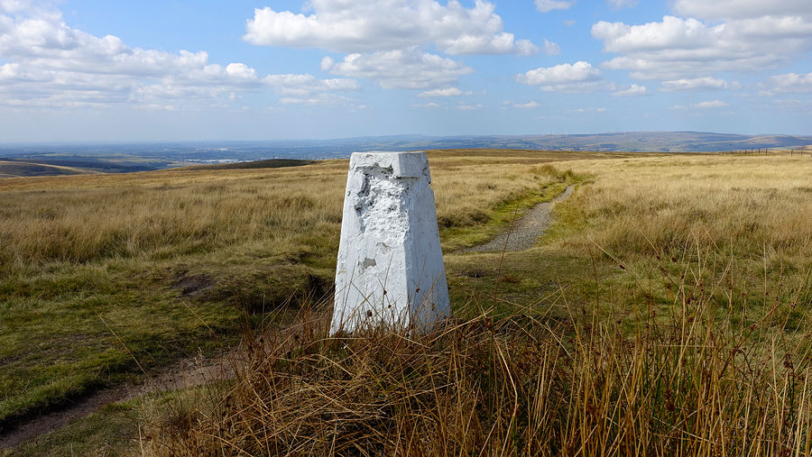 White Hill 466m White Hill 466m